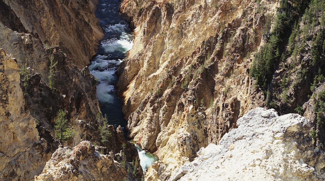 Lower Yellowstone Falls