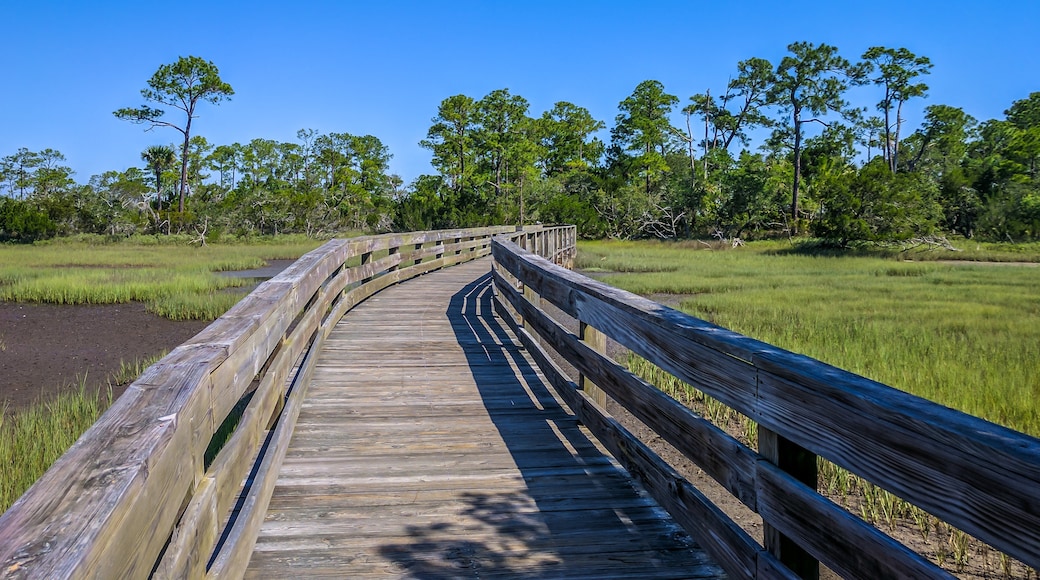 Kiawah Island