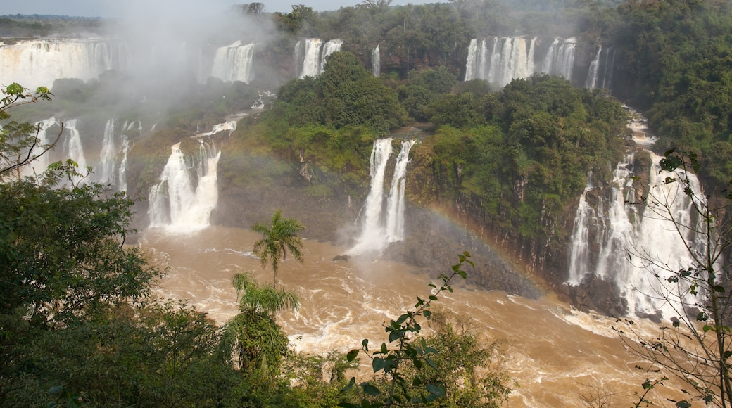 Az Iguassu-vízesés bejárata, Foz do Iguaçu, Paraná (szövetségi állam), Brazília