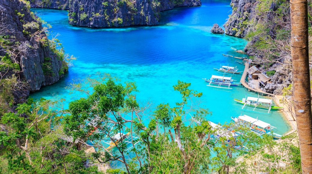 Coron