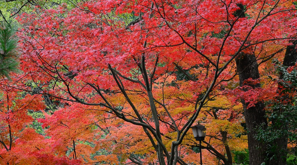 Wakayama Castle