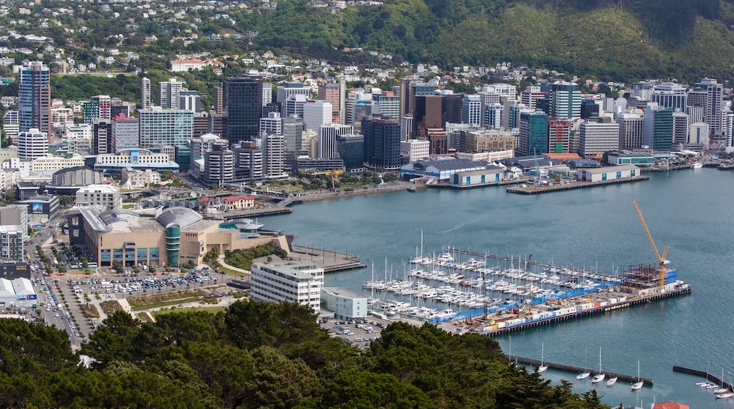 Ngoại ô Remuera, Auckland, Vùng Auckland, New Zealand