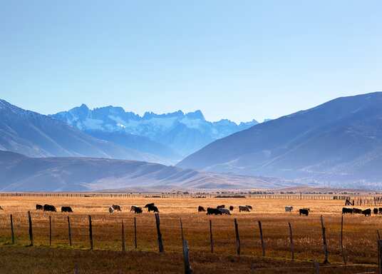 Lee Vining, Kalifornia, Stany Zjednoczone