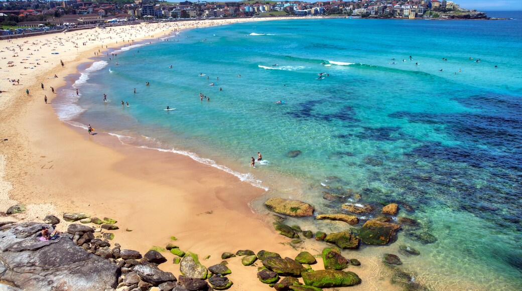 Bondi Beach, Sydney, Waverley Municipal Councilin paikallishallintoalue, Uusi Etelä-Wales, Australia