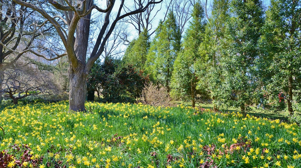 Silver Spring, Maryland, USA