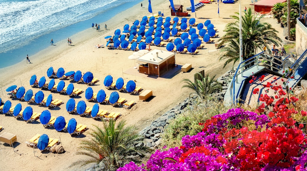 Playa del Ingles, San Bartolome de Tirajana, Canary Islands, Spain