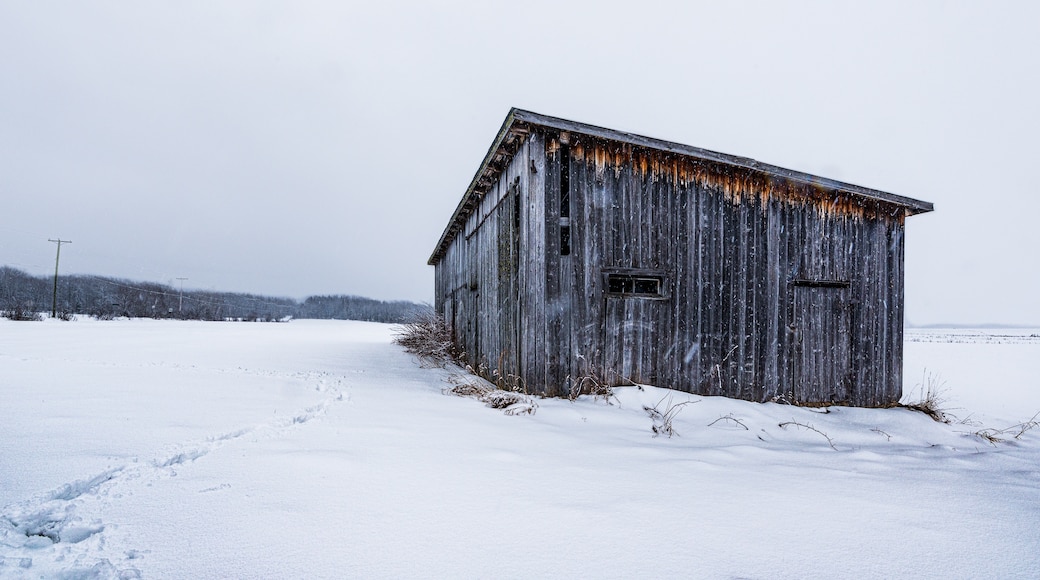 Mont-Laurier