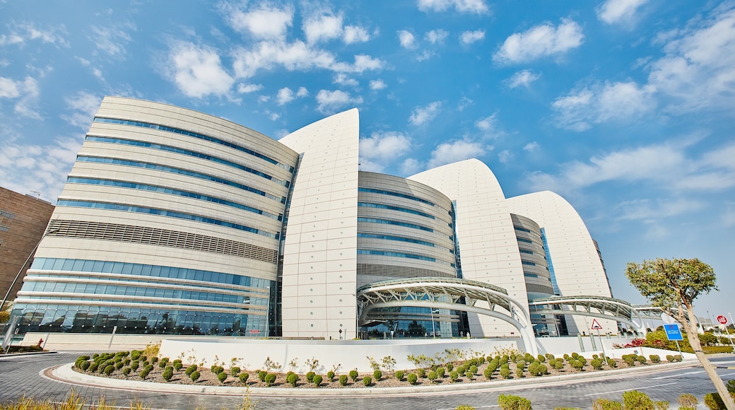Istituto di Ricerca Sidra Medicine, Al-Rayyan, Ar Rayyan, Qatar