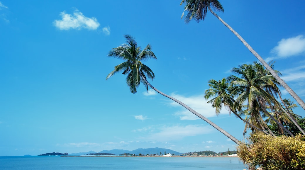 波普托海灘, 蘇梅島, 素叻他尼府 (省), 泰國