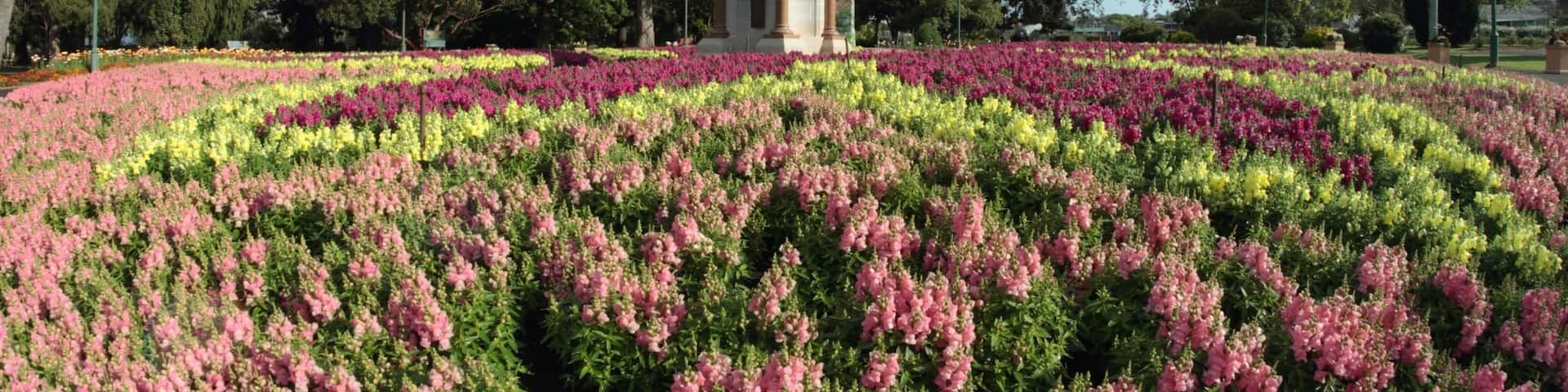 Toowoomba, Queensland, Australia