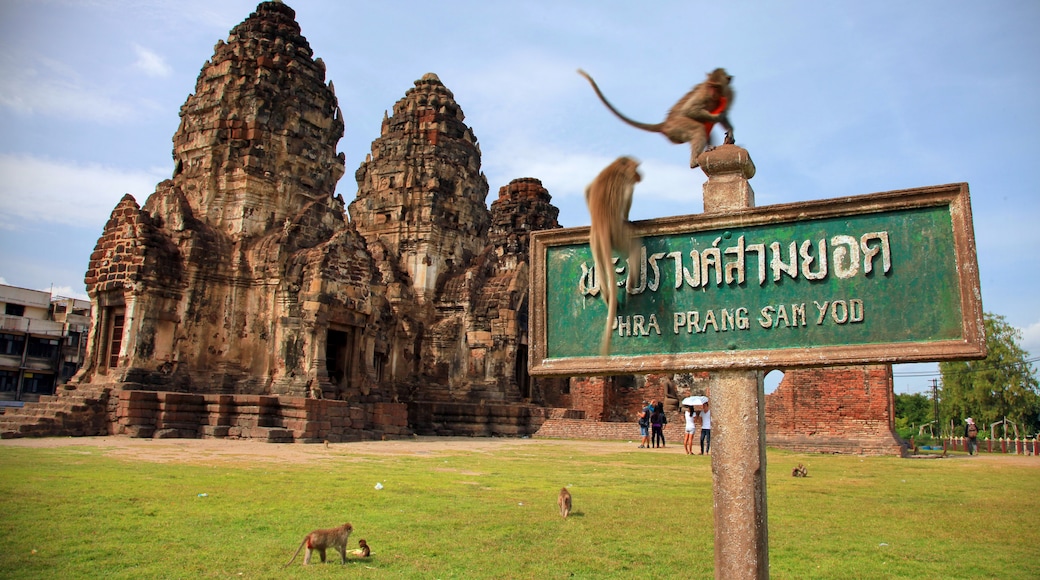 Tempio Phra Prang Sam Yod