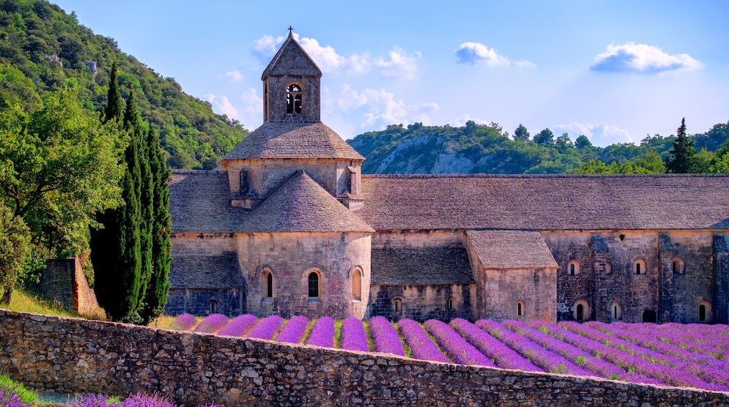 Parc naturel régional du Luberon