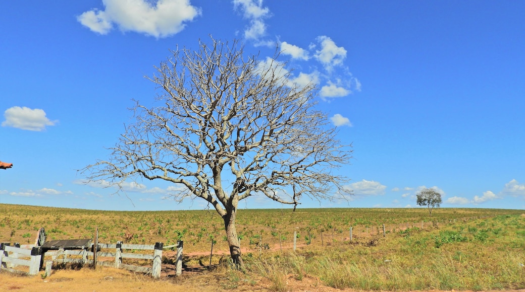 Nobres, Mato Grosso, Brazil