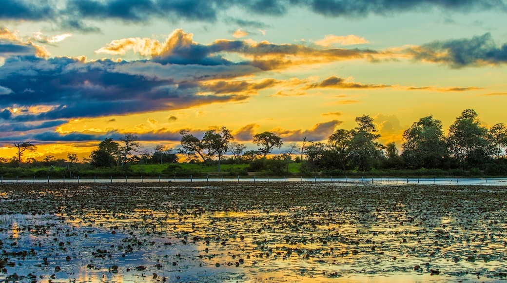 Pantanal Reserve