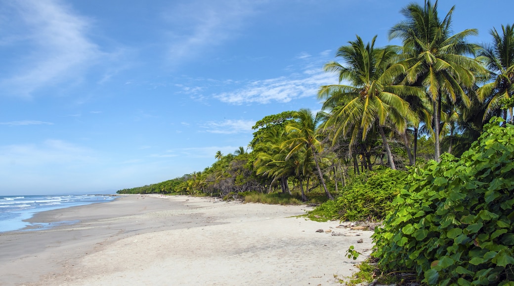 Puntarenas