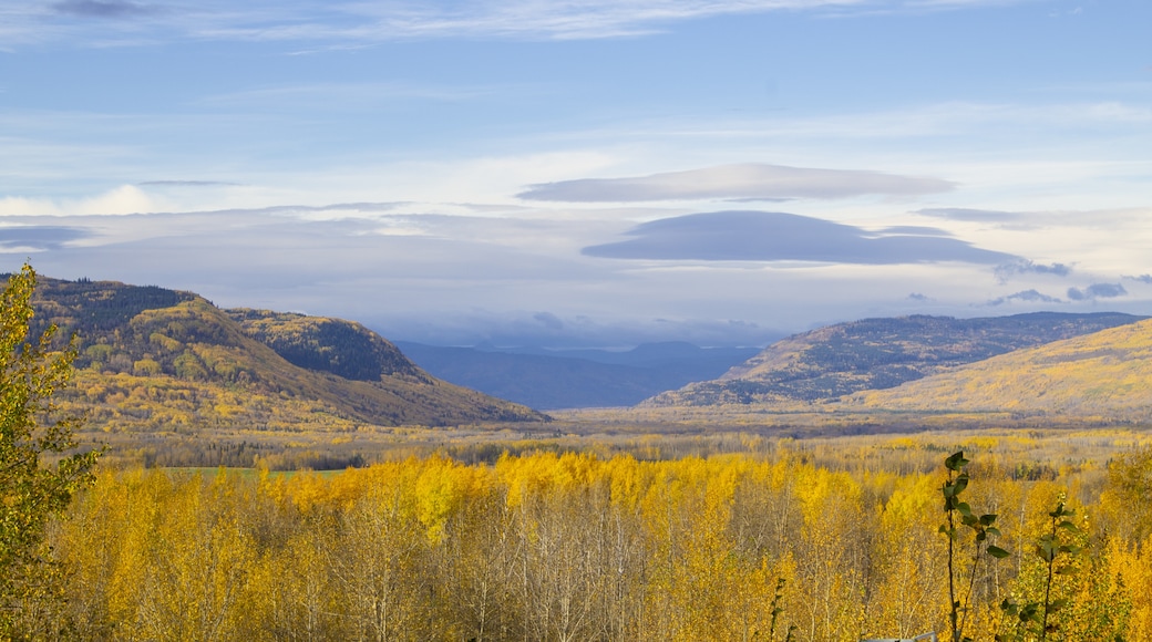 tourism chetwynd bc