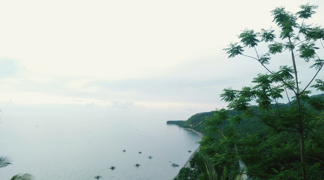 Zamboanga Peninsula