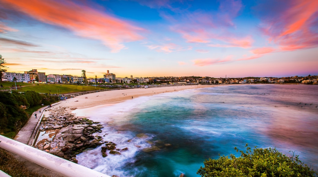 The Best Bondi Beach Hotels on the Beach from $35 - Free Cancellation ...