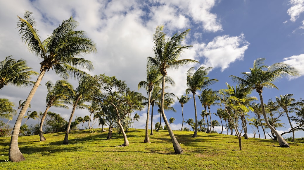 Central Eleuthera