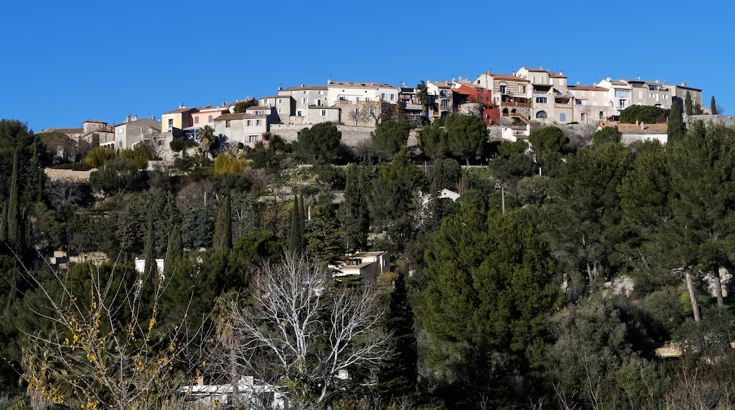 Sainte-Baume Regional Natural Park