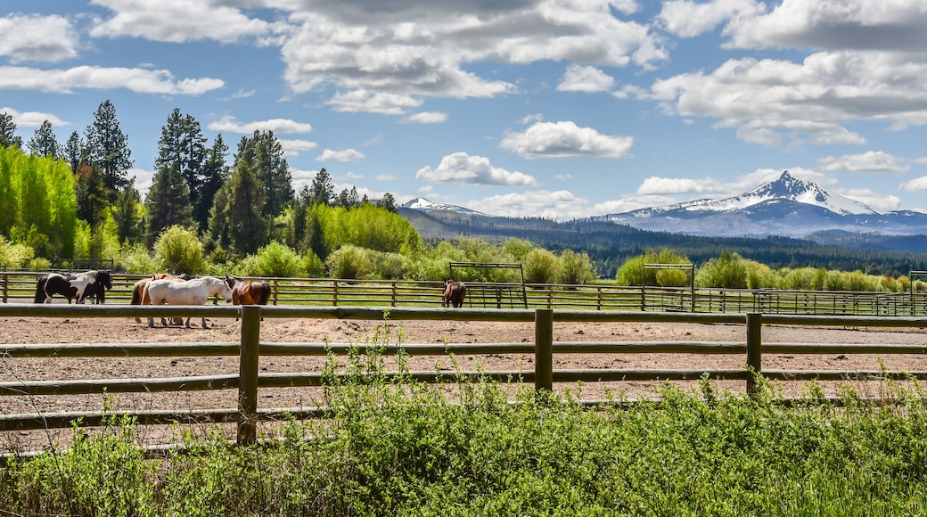 Black Butte Ranch, Oregon, United States of America