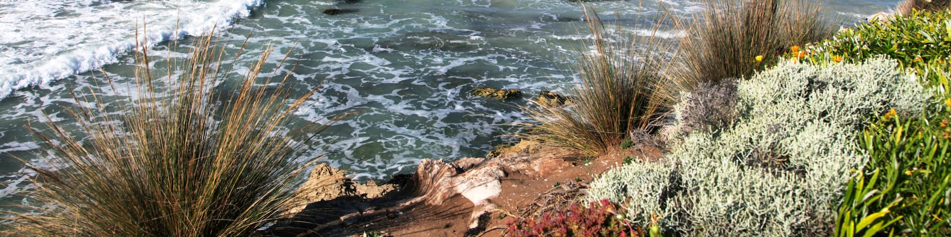 Robe, South Australia, Australia