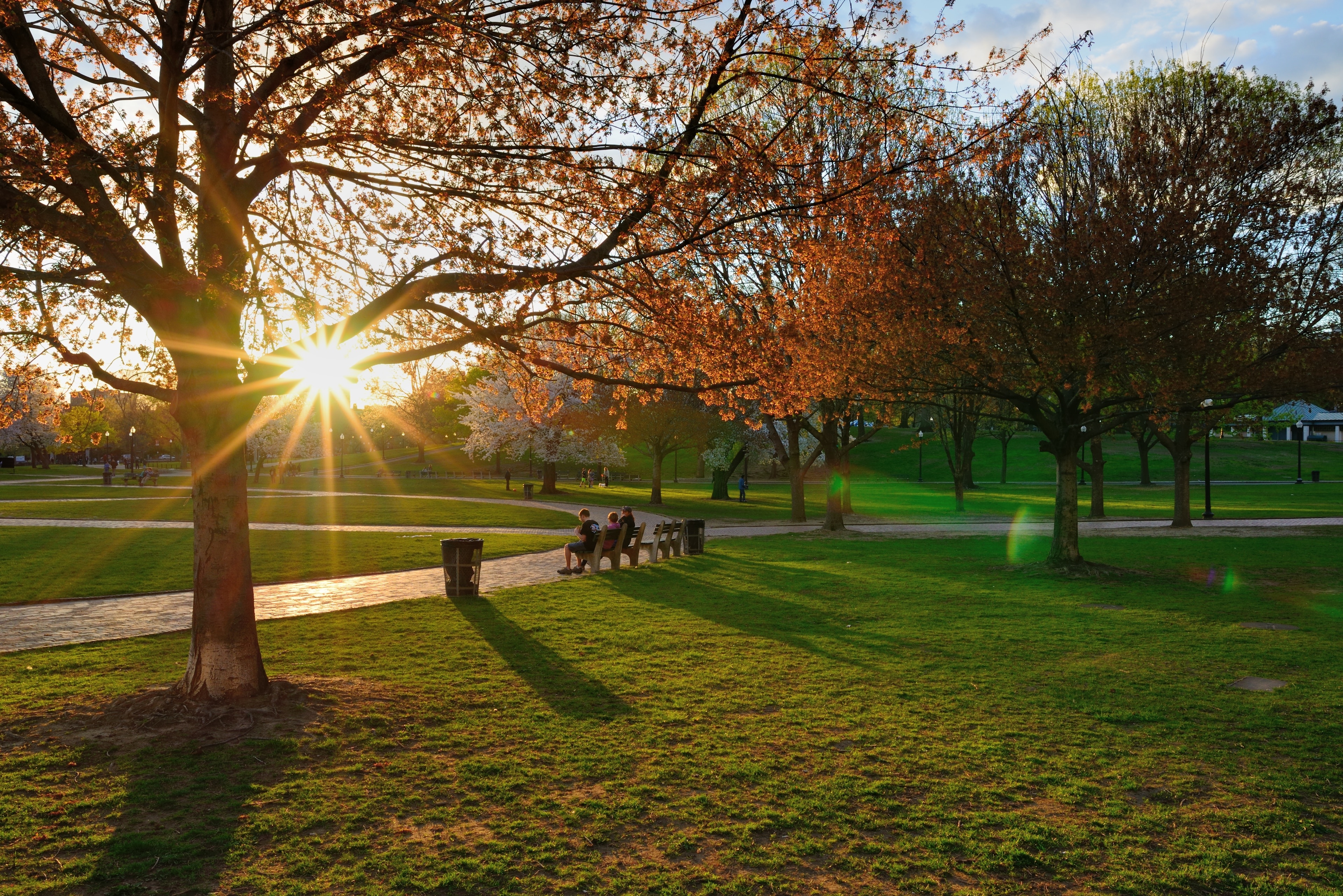 Beacon Hill History + Scenic Photo Walking Tour (Small Group)