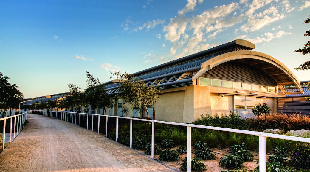 Al Shaqab Equestrian Center