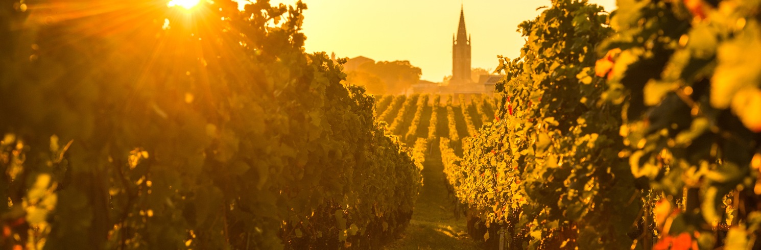 Vinársky kraj Bordeaux (oblasť), Francúzsko