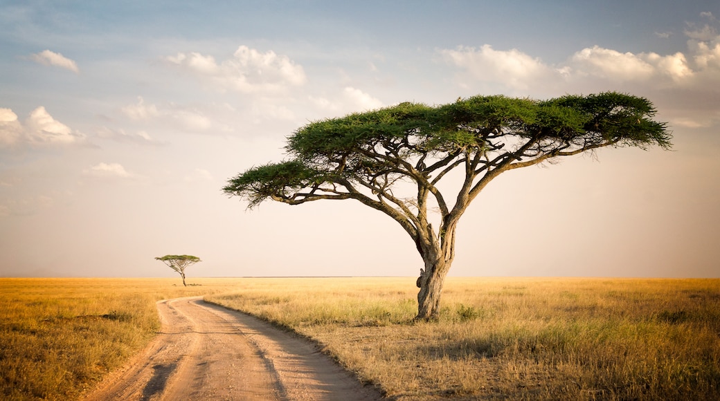 Taman Nasional Serengeti