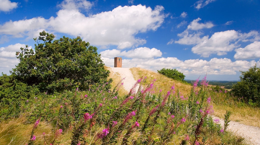 Nationalpark Mols Bjerge