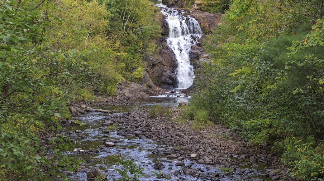 La Tuque