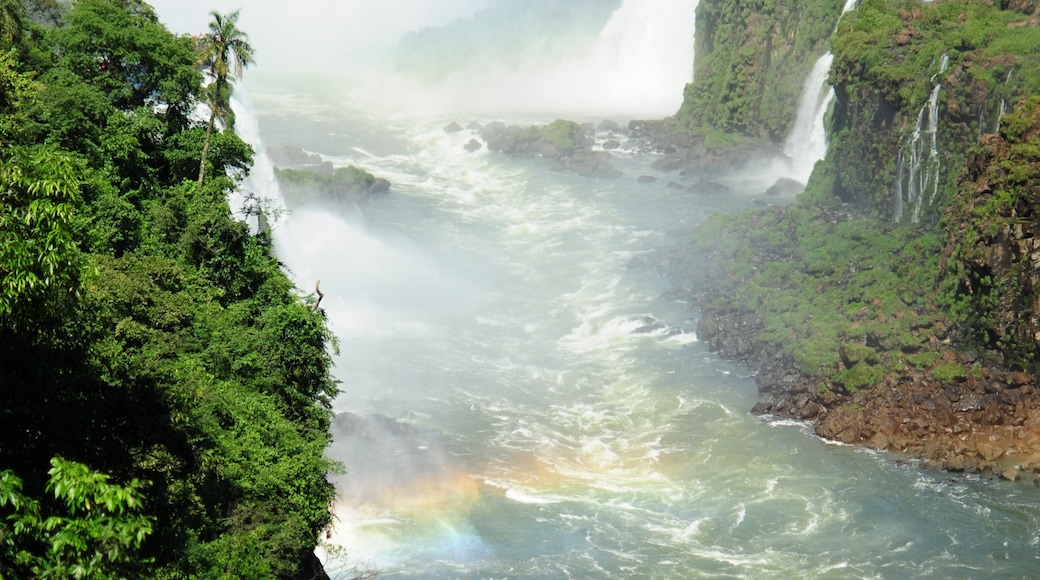 Entrance to the Iguassu Falls