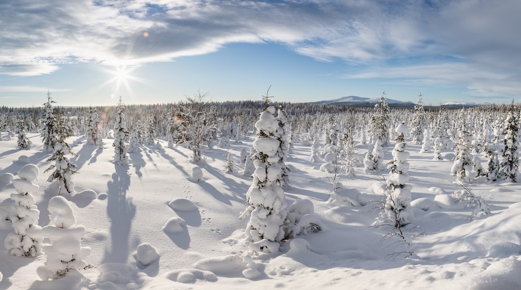 Kittila, Lappland, Finland