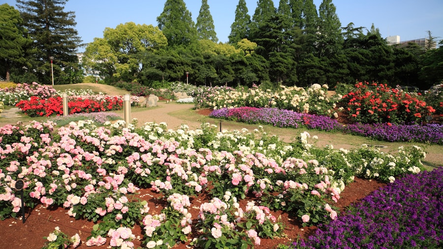 Utsubo Park