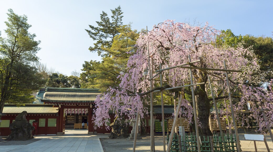 Togo Shrine