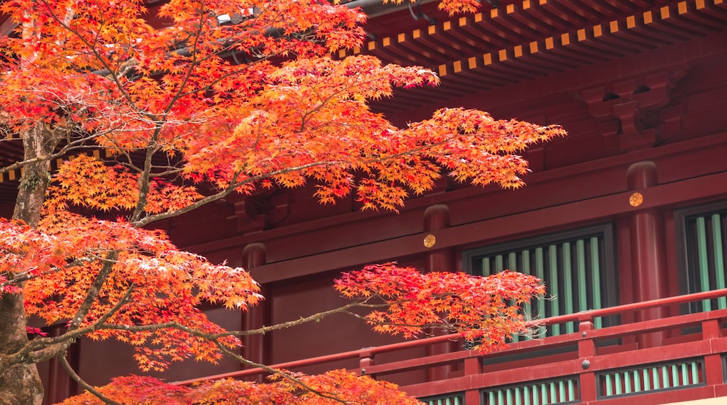 Nikko Nationaal Park