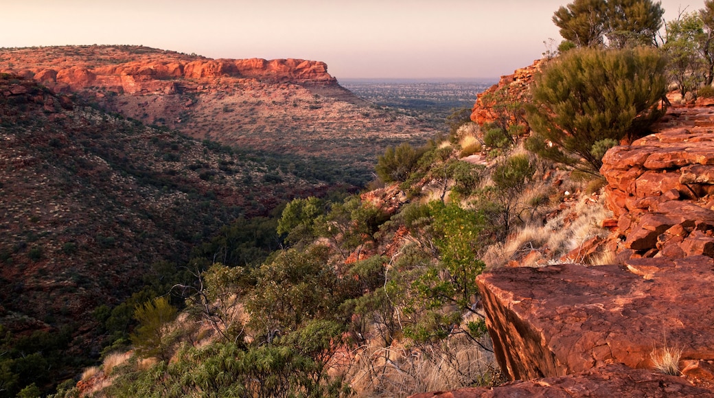 อุทยานแห่งชาติ Watarrka