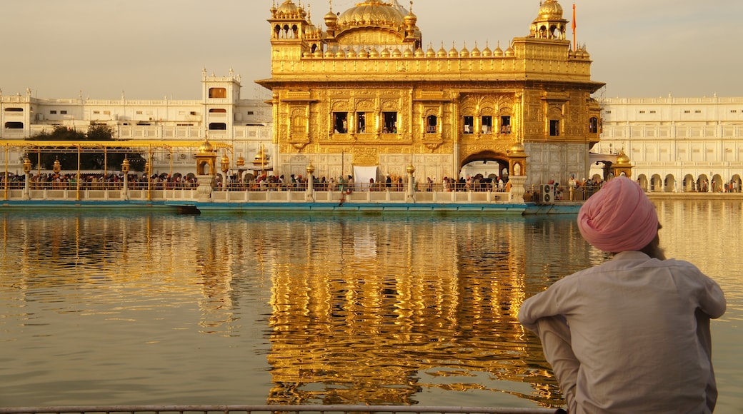 Altın Tapınak, Amritsar, Pencap, Hindistan