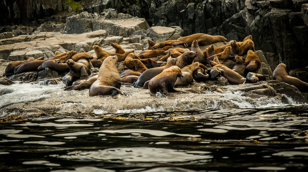 Haida Gwaii