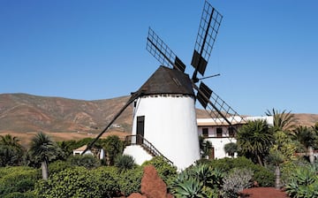 Esquinzo, Pajara, Canary Islands, Spain
