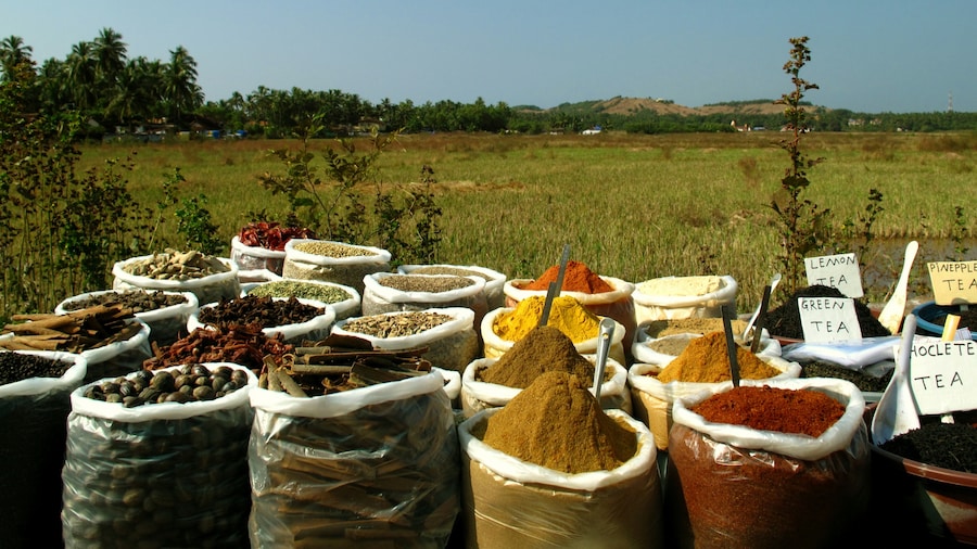 Anjuna Flea Market