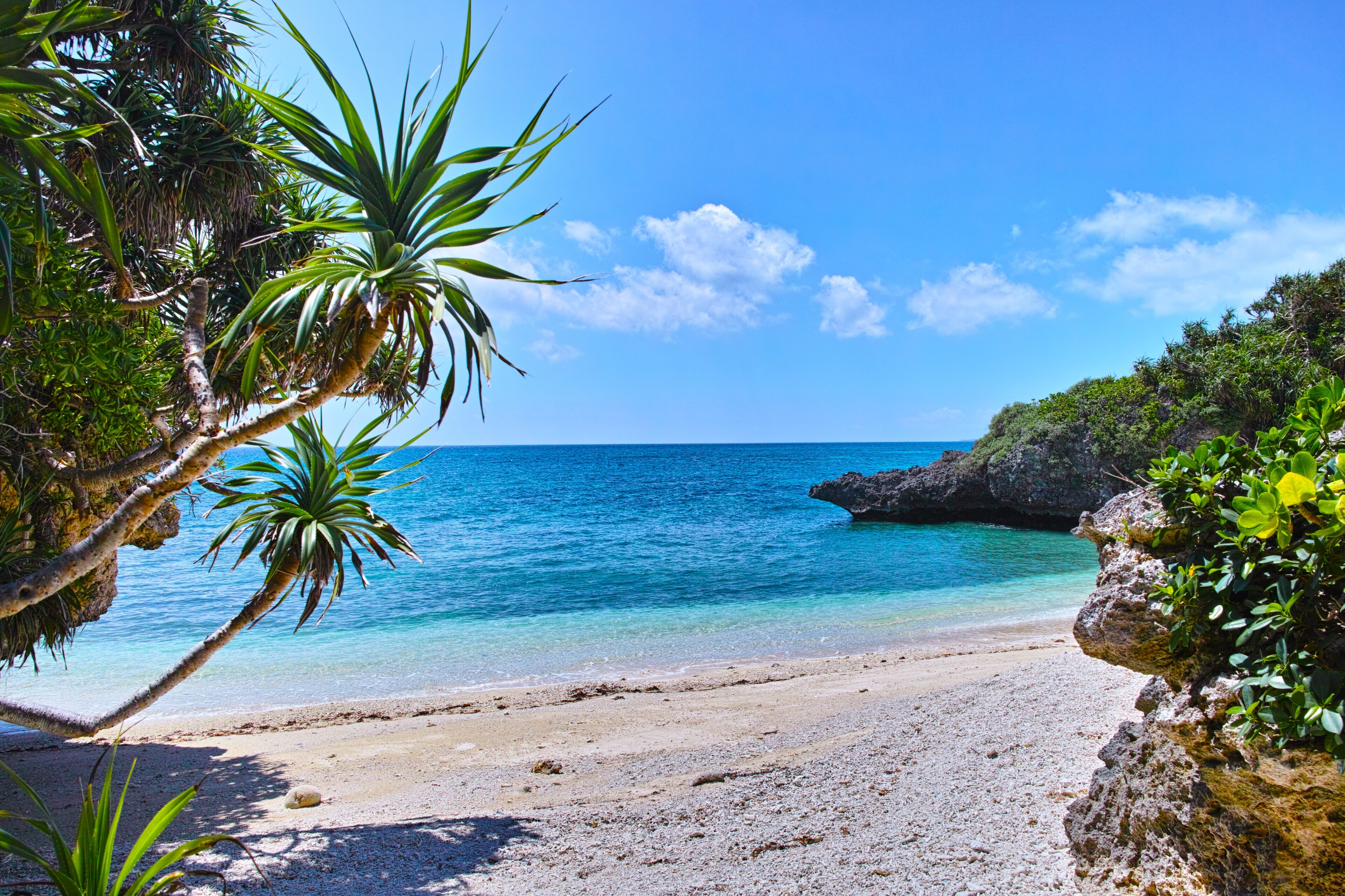 Kunigami okinawa