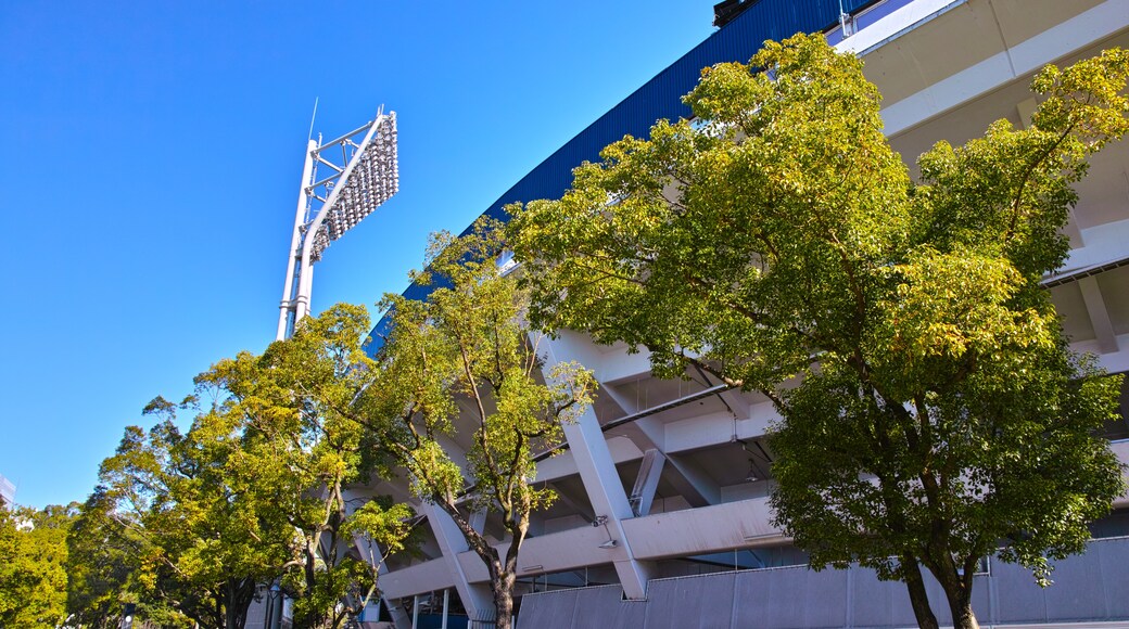 Yokohama Stadium, Yokohama, Kanagawa Prefecture, Japan