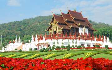 チェンマイ観光ガイド 定番人気スポットを参考に自分にピッタリの観光プランを立てよう エクスペディア チェンマイ観光ガイド 定番人気スポットを参考に自分にピッタリの観光プランを立てよう エクスペディア