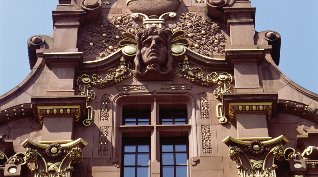 Thư viện Đại học Heidelberg, Heidelberg, Bang Baden-Wuerttemberg, Đức