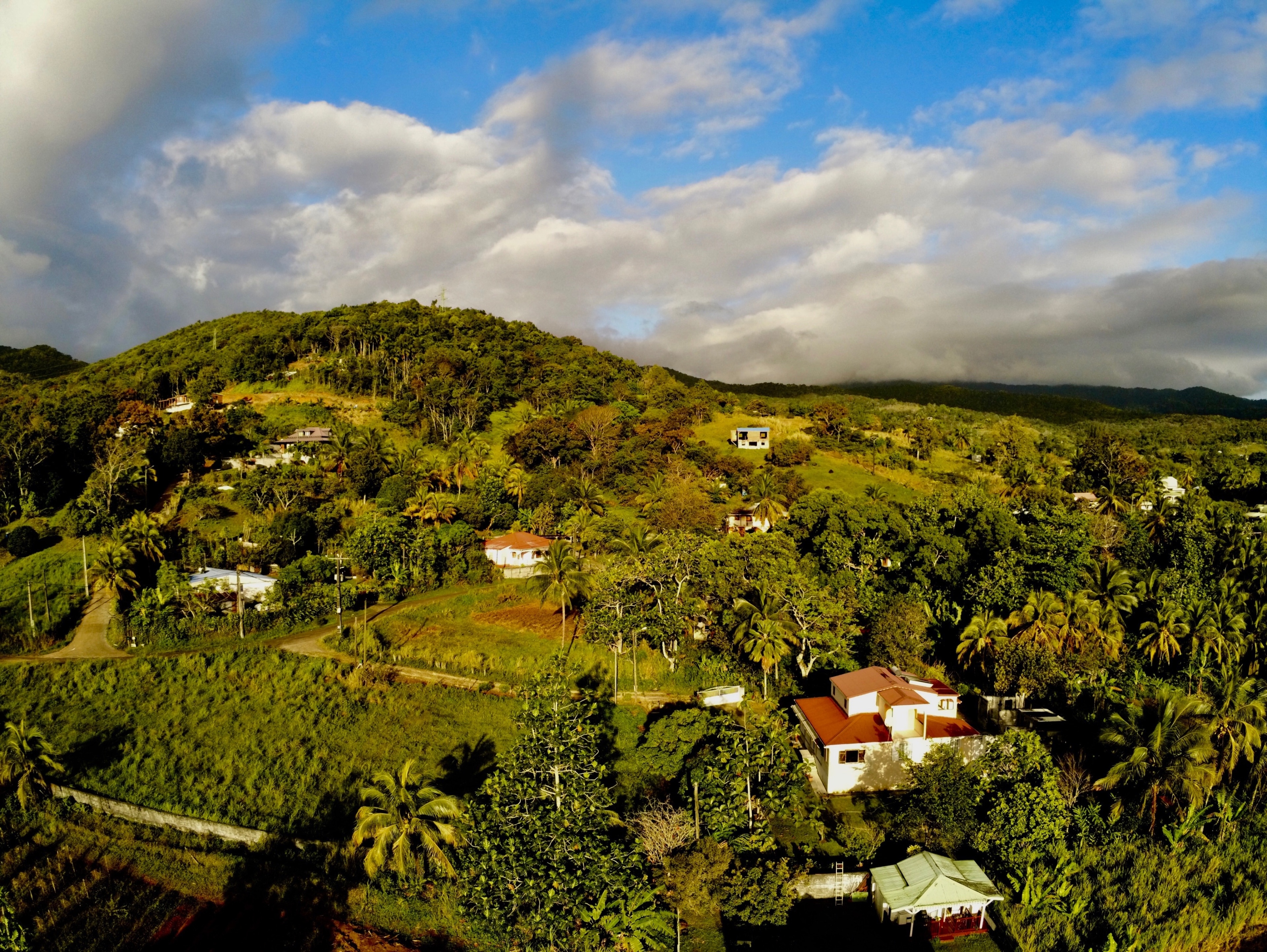 The BEST Guadeloupe Tours and Things to Do in 2024 - FREE Cancellation