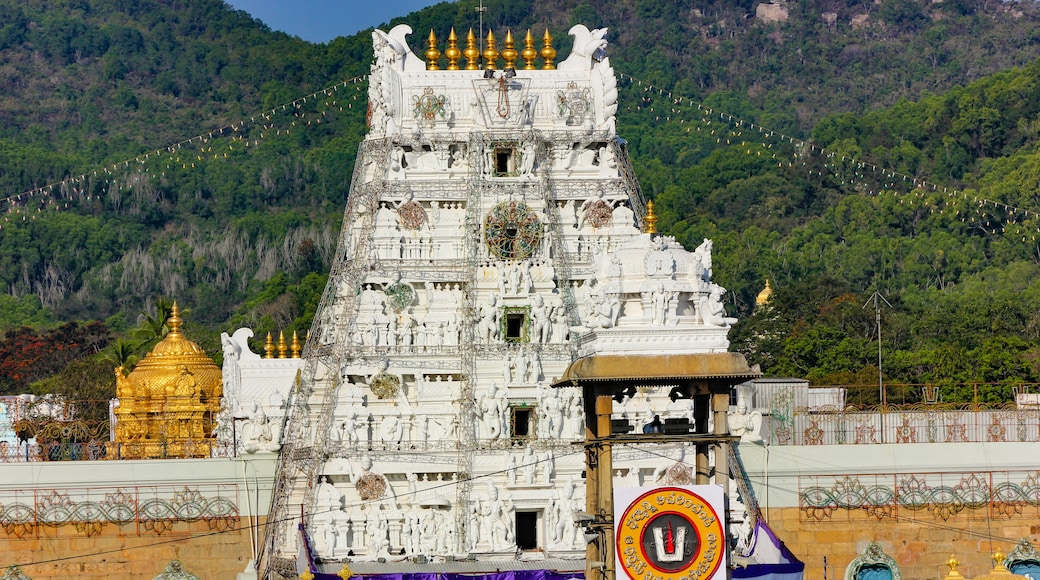 Tirumala, Tirupati, Andhra Pradesh, India