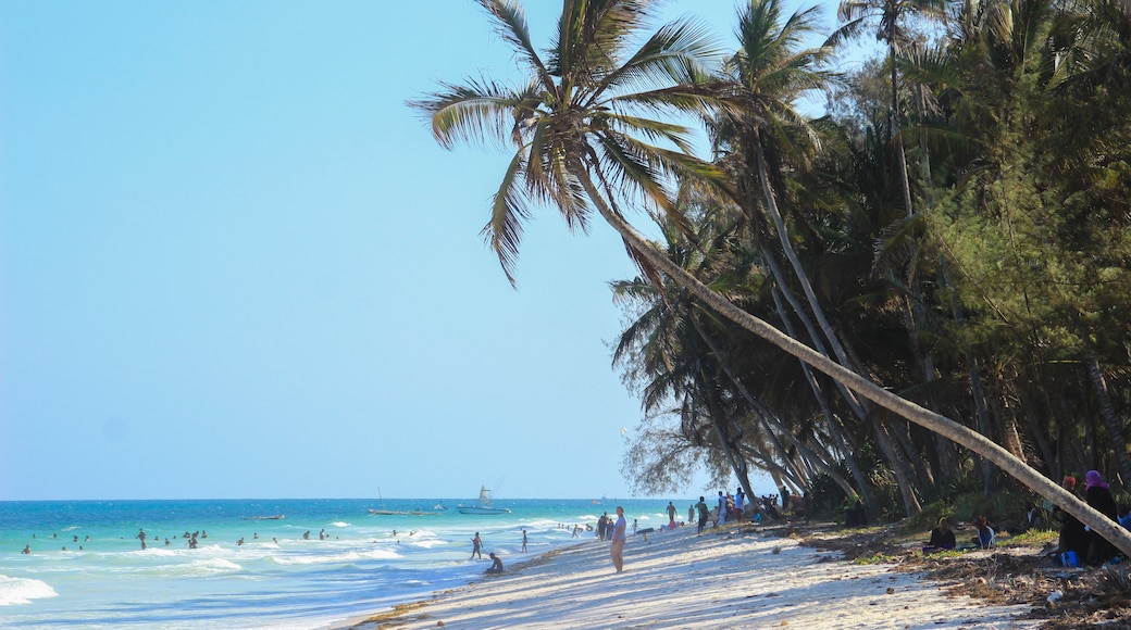 Central Kenya Coast