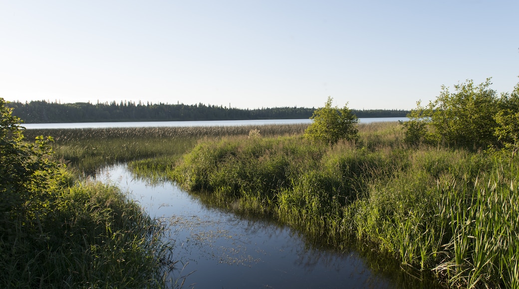 Parc national de Riding Mountain